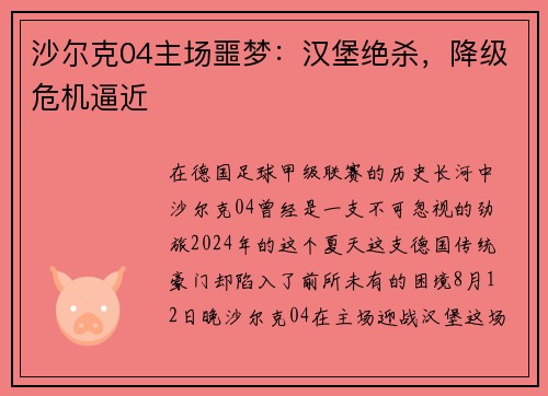沙尔克04主场噩梦：汉堡绝杀，降级危机逼近